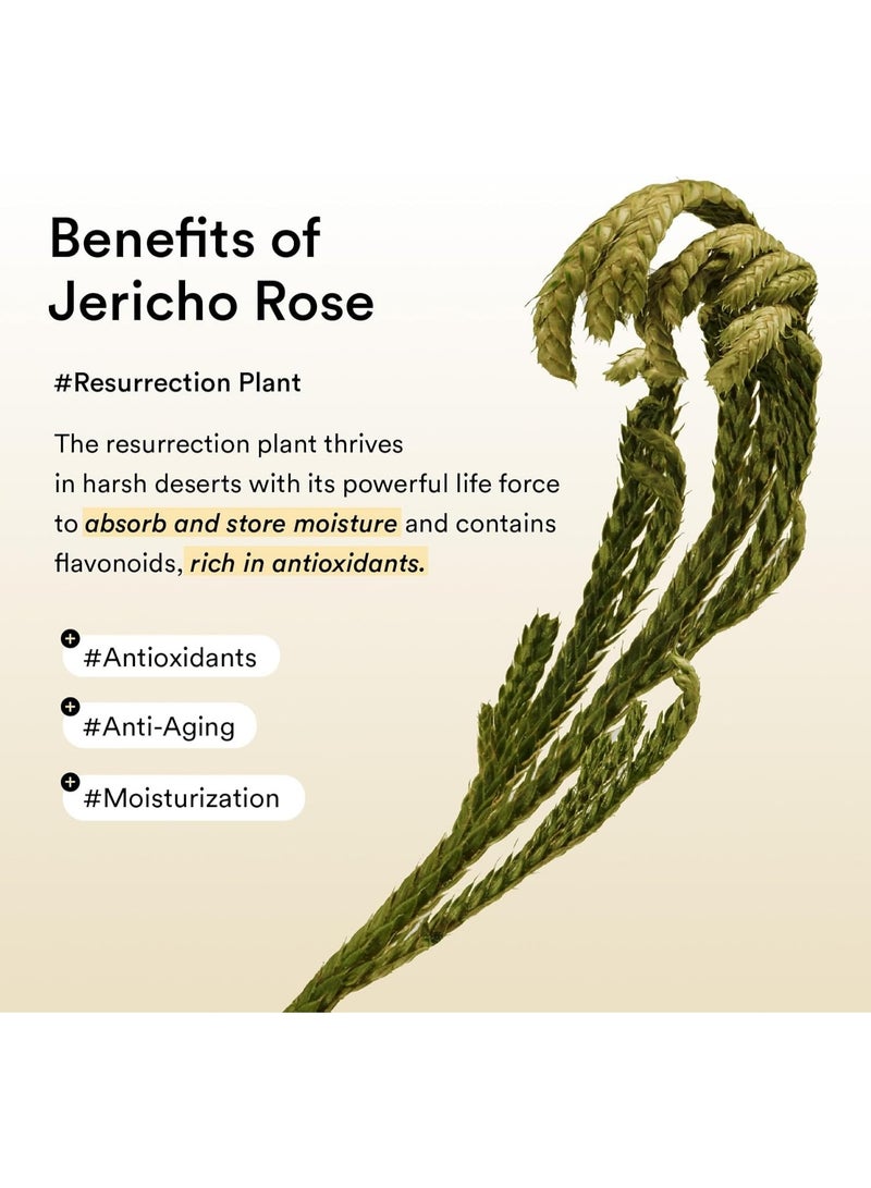 ابيب لصقات العين بالكولاجين من روز جيريشو 90غ/60 حبة (30 زوج) ، لصقات تحت العين الكورية للعيون المنتفخة والهالات السوداء، مضادة للتجاعيد، كولاجين - Image 5